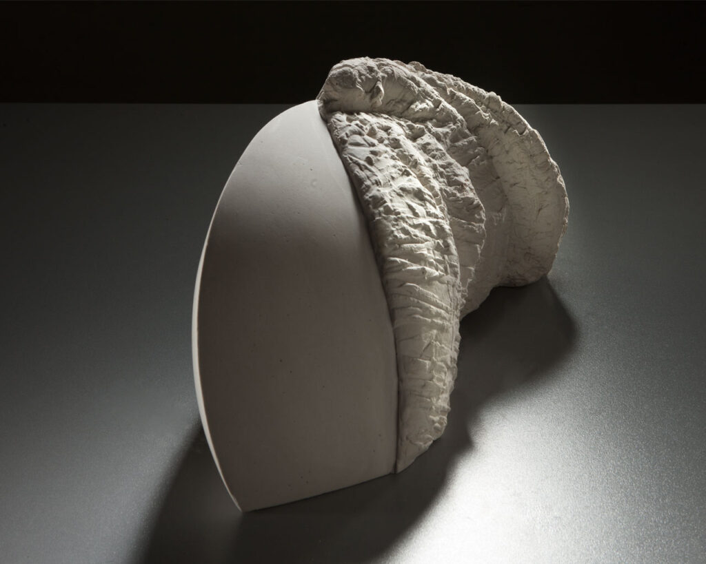 Resinas - Carlos G Cornejo - Resina Felino